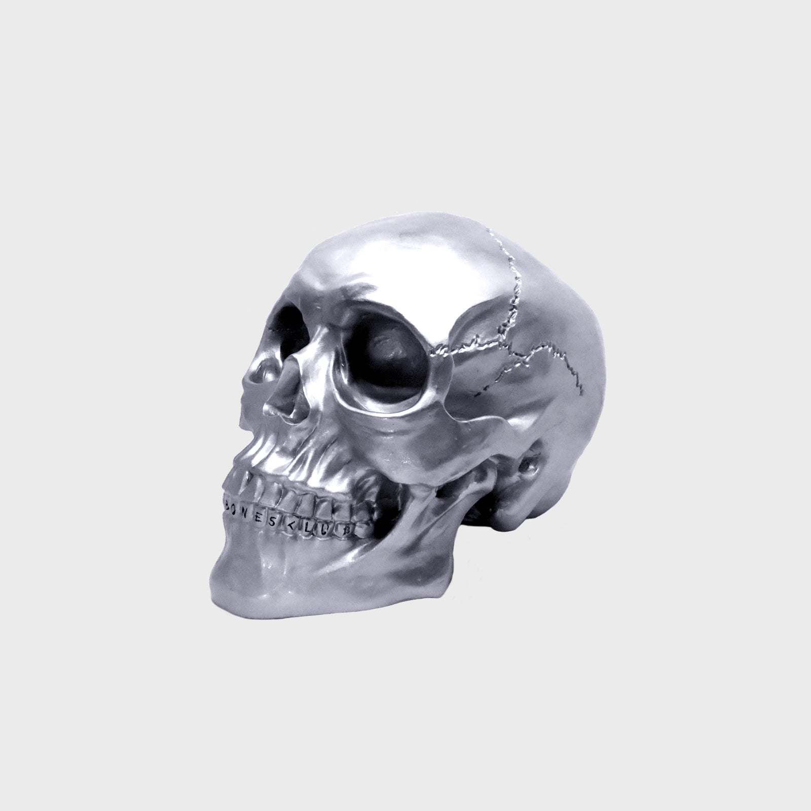 Chrome Skull - Special Edition William B Bones Resin Skull