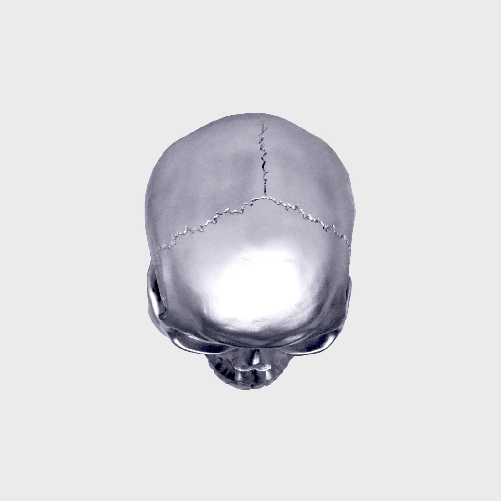 Chrome Skull - Special Edition William B Bones Resin Skull